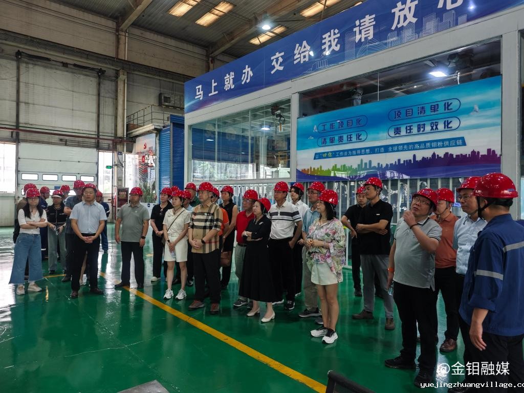 20250715-西安市人民政府驻深圳办事处组织深圳企业家代表团来公司考察交流 (3).jpg